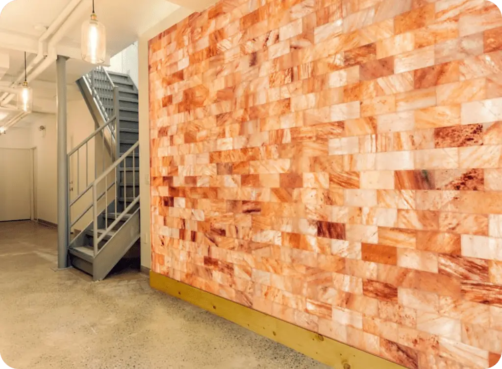 Himalayan salt wall with salt bricks