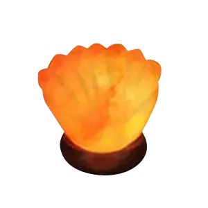 seal shell salt lamps real himalayan salt