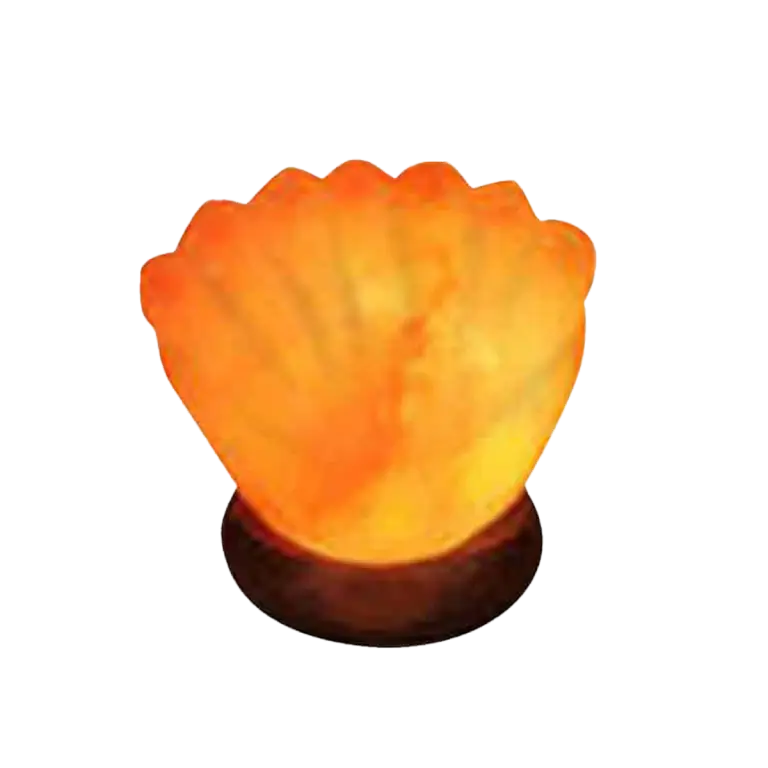 seal shell salt lamps real himalayan salt