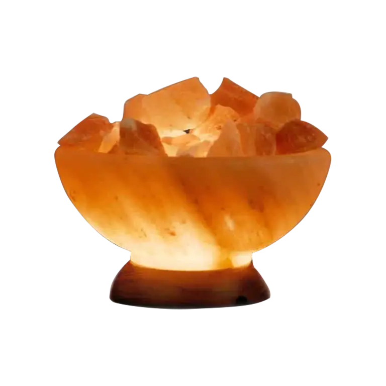 abundance himalayan salt bowl by spiritualquest